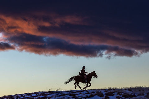 USA- Wyoming. Hideout Horse Ranch- wrangler and horse at sunset. White Modern Wood Framed Art Print with Double Matting by Looney, Hollice