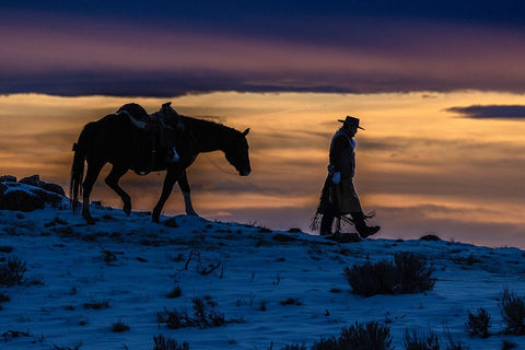 USA- Wyoming. Hideout Horse Ranch- wrangler and horse at sunset. White Modern Wood Framed Art Print with Double Matting by Looney, Hollice