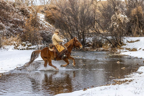 USA- Wyoming. Hideout Horse Ranch- wrangler crossing the stream on horseback. White Modern Wood Framed Art Print with Double Matting by Looney, Hollice