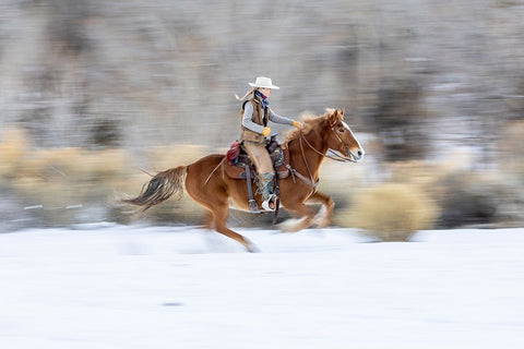 USA- Wyoming. Hideout Horse Ranch- wrangler on horseback in snow. White Modern Wood Framed Art Print with Double Matting by Looney, Hollice