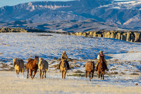 USA- Wyoming. Hideout Horse Ranch- wranglers and horses. White Modern Wood Framed Art Print with Double Matting by Looney, Hollice