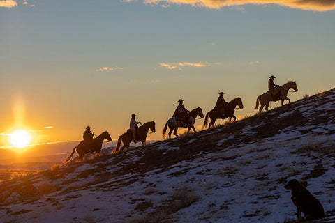 USA- Wyoming. Hideout Horse Ranch- wranglers on horseback in snow at sunset. Black Modern Wood Framed Art Print by Looney, Hollice