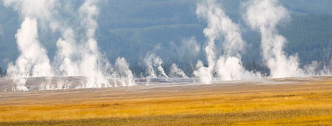 Wyoming- Yellowstone National Park. Thermal activity at Lower Geyser Basin White Modern Wood Framed Art Print with Double Matting by Wild, Jamie and Judy
