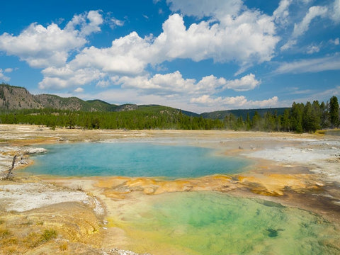 Wyoming- Yellowstone National Park. Black Opal Spring- Upper Geyser Basin White Modern Wood Framed Art Print with Double Matting by Wild, Jamie and Judy