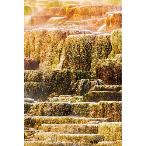 Travertine terraces at Minerva Spring-Mammoth Hot Springs-Yellowstone National Park-Wyoming-USA White Modern Wood Framed Art Print by Bishop, Russ