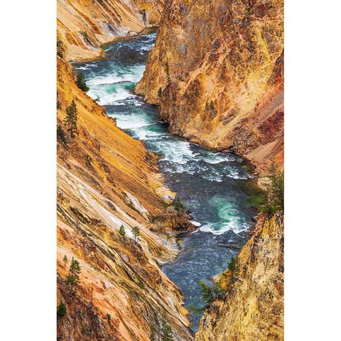 The Yellowstone River in the Grand Canyon of the Yellowstone-Yellowstone National Park-Wyoming-USA Gold Ornate Wood Framed Art Print with Double Matting by Bishop, Russ