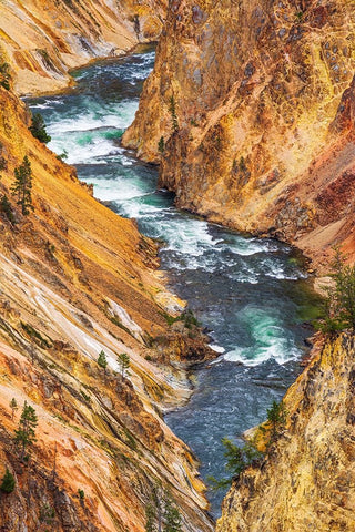 The Yellowstone River in the Grand Canyon of the Yellowstone-Yellowstone National Park-Wyoming-USA White Modern Wood Framed Art Print with Double Matting by Bishop, Russ