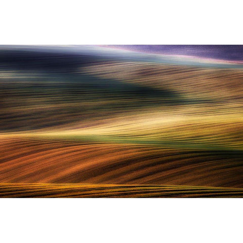 Autumn Fields Black Modern Wood Framed Art Print by Krol, Piotr