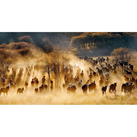 Horses Black Modern Wood Framed Art Print with Double Matting by Zhu, Hua