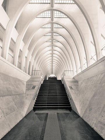 Inside Calatrava White Modern Wood Framed Art Print with Double Matting by Lopez, Oscar