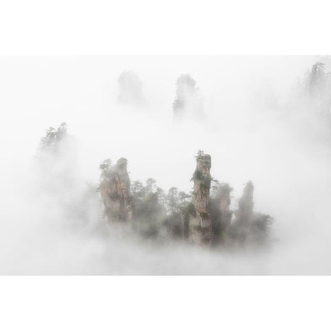 Zhangaije White Modern Wood Framed Art Print by Marchegiani, Roberto