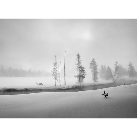 Morning Walk White Modern Wood Framed Art Print by Dou, Shenshen
