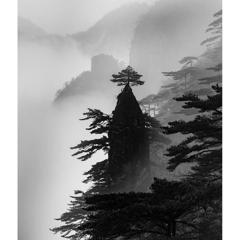 Standing Alone Black Modern Wood Framed Art Print by Dai, Wei