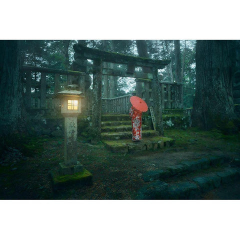 Okunoin Cemetery White Modern Wood Framed Art Print by De La, Javier