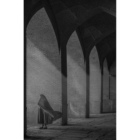 A Visitor Black Modern Wood Framed Art Print by Aref, Aria