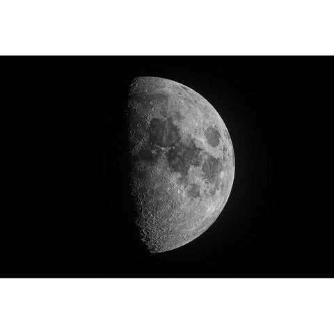 Luna Black Modern Wood Framed Art Print by C. Sink, Jeffrey