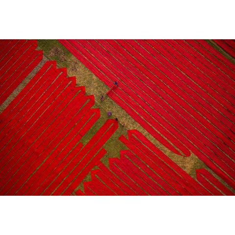 Red Cloths Black Modern Wood Framed Art Print by Khan Ronnie, Azim