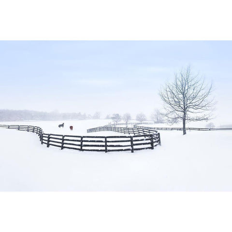 Winter Farm Black Modern Wood Framed Art Print by Deng, Larry