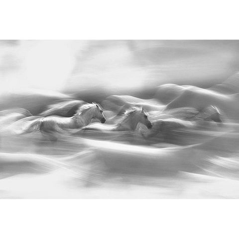 Morning Dream White Modern Wood Framed Art Print by Malovrh, Milan