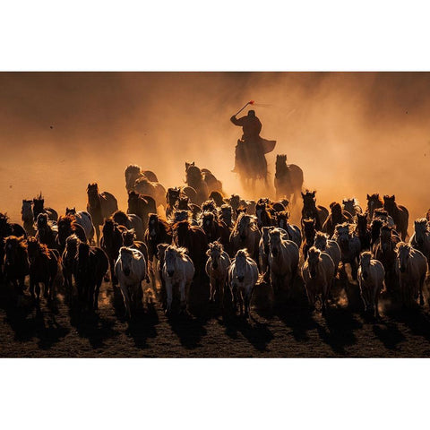 Ten Thousand Steeds Gallop White Modern Wood Framed Art Print by Liao, Yuhan