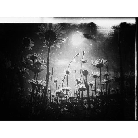 There is always a piece of sky Black Modern Wood Framed Art Print with Double Matting by Margau, Delphine