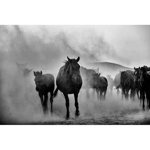 Untitled White Modern Wood Framed Art Print by Emre Erol, M.