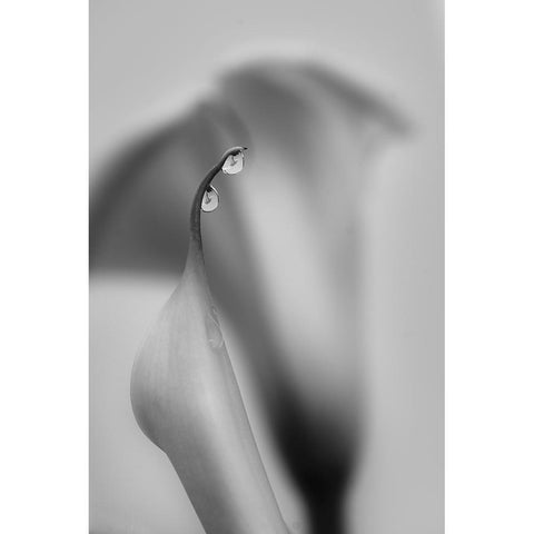 Two Drops White Modern Wood Framed Art Print by Chenglu, Simon