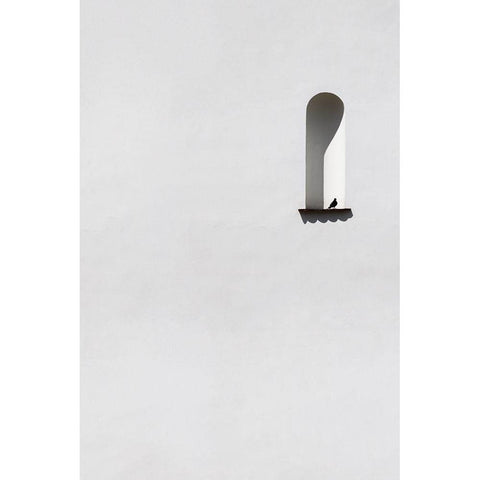 Single dove White Modern Wood Framed Art Print by Cederberg, Marcus