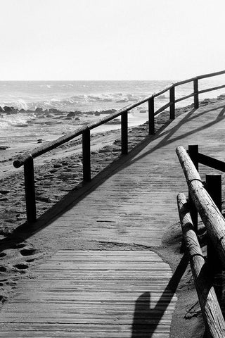 Beach_008 Black Ornate Wood Framed Art Print with Double Matting by 1x Studio III