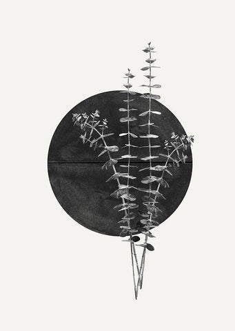 Plant and Black Sun Black Ornate Wood Framed Art Print with Double Matting by The Miuus Studio