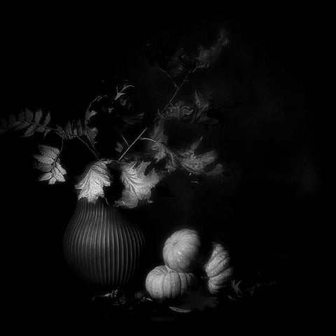 Autumn Memory. Black Modern Wood Framed Art Print with Double Matting by Dingemans, Saskia