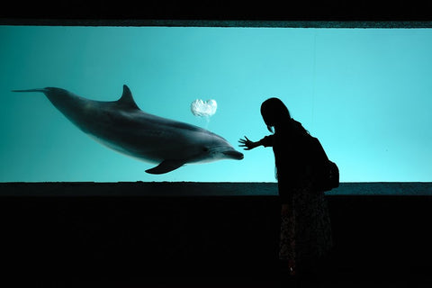 I Understand My FeelingsaÂC Black Ornate Wood Framed Art Print with Double Matting by Sangan, Kurosaki