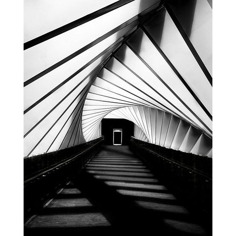 Twisted Shadows White Modern Wood Framed Art Print by Jamal, Khalid