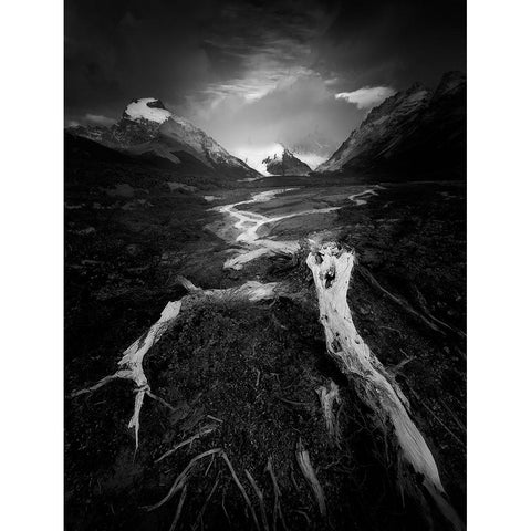 The Wild Black Modern Wood Framed Art Print with Double Matting by Li, Bing