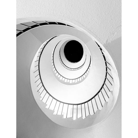Snail Black Modern Wood Framed Art Print with Double Matting by Hara, Tomoshi