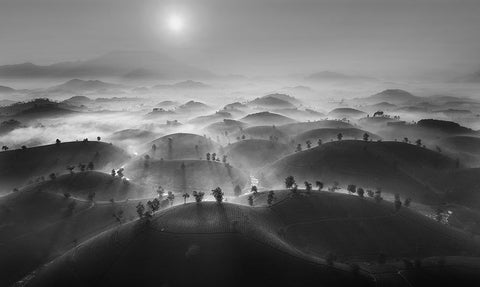New Day In Long Coc Tea Hill Black Ornate Wood Framed Art Print with Double Matting by Tan Tuan, Nguyen