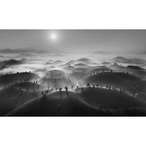 New Day In Long Coc Tea Hill Gold Ornate Wood Framed Art Print with Double Matting by Tan Tuan, Nguyen