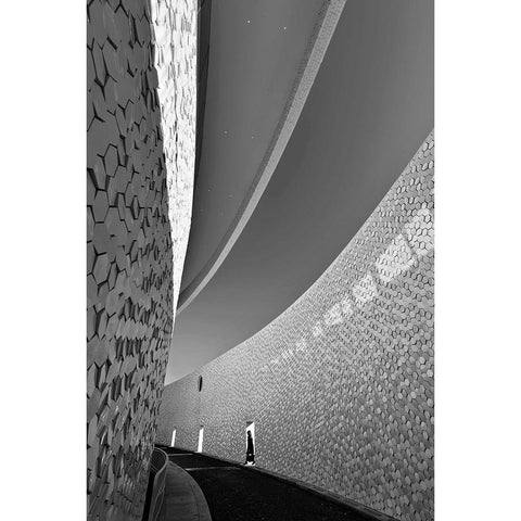 The Journey White Modern Wood Framed Art Print by Pimenta, Jorge
