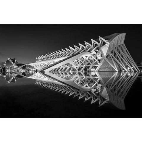 Exoskeleton Black Modern Wood Framed Art Print by Silveira, Fernando