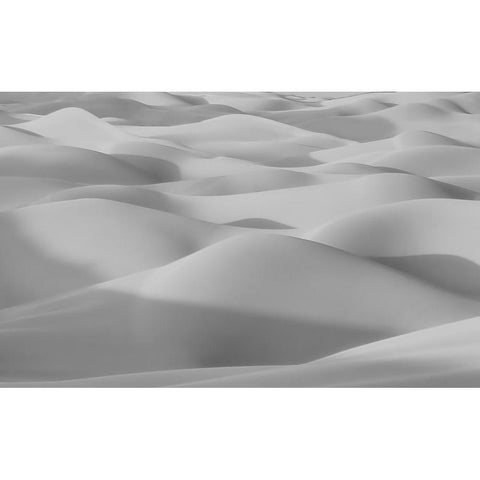 The Curves Black Modern Wood Framed Art Print with Double Matting by Qiu, Jenny