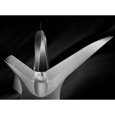 Flying In Oculus Black Modern Wood Framed Art Print with Double Matting by Garcia, Helena
