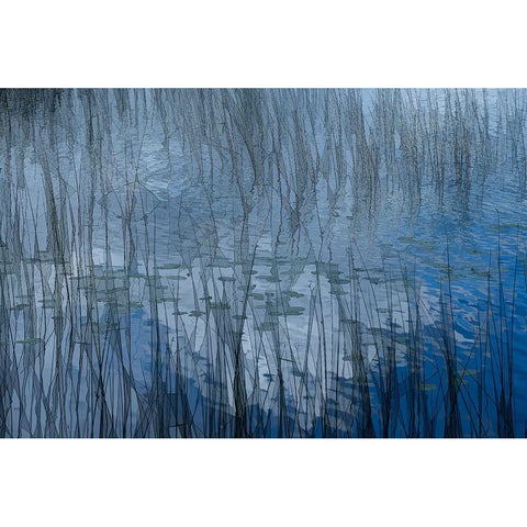 Abstract Riet White Modern Wood Framed Art Print by Bouhuijzen, Ina