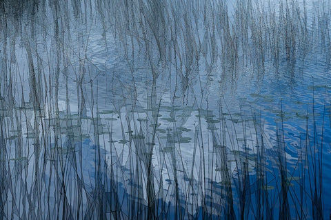 Abstract Riet White Modern Wood Framed Art Print with Double Matting by Bouhuijzen, Ina