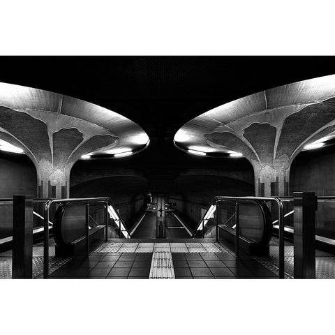 Mushroom Station Black Modern Wood Framed Art Print by Weber, Roland