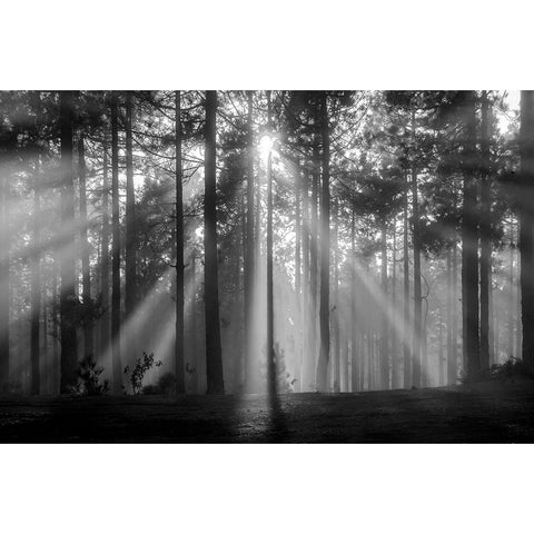 Light In The Snow Black Modern Wood Framed Art Print with Double Matting by Alviani, Montserrat