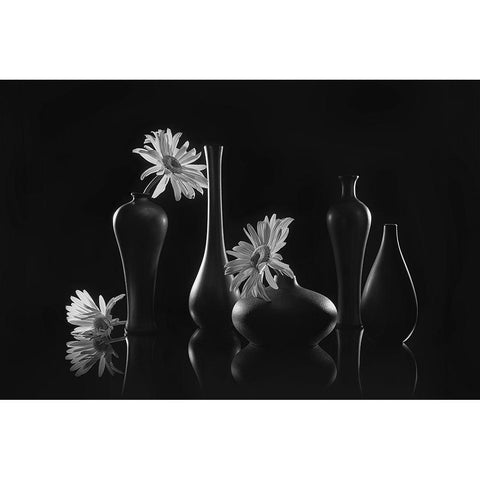 Daisy Melody White Modern Wood Framed Art Print by Jacobs, Lydia