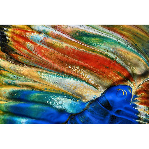 The Blue Fish White Modern Wood Framed Art Print by Westum, Heidi