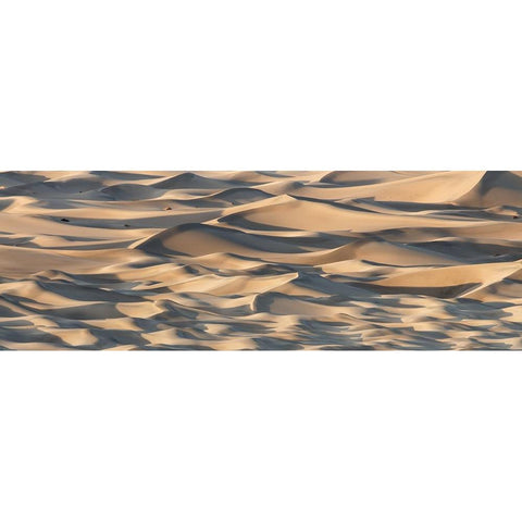 Sand Waves Gold Ornate Wood Framed Art Print with Double Matting by Chapman, Michael