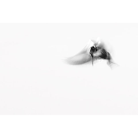 In...M O T I O N White Modern Wood Framed Art Print by Elkahlawi, Ahmed