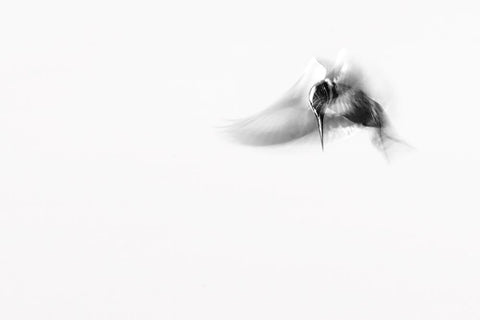 In...M O T I O N White Modern Wood Framed Art Print with Double Matting by Elkahlawi, Ahmed